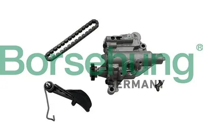 Produktbild von Borsehung Reparatursatz Ölpumpe B19177 für VW GOLF VI (5K1)