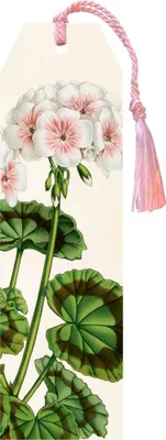 Image de Marque-page Geranium White