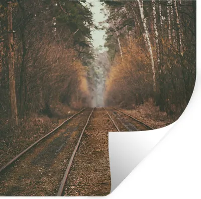 Produktbild von MuchoWow® Wandtattoo Wandsticker Wandaufkleber Bahnstrecke - Weg - Wald - Baum 100x100 cm Selbstklebend und Repositionierbar - Wierderverwendbar - Selbstklebend