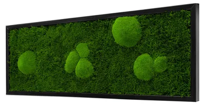 Produktbild von Moosbild Forest Design (100x35, schwarz)