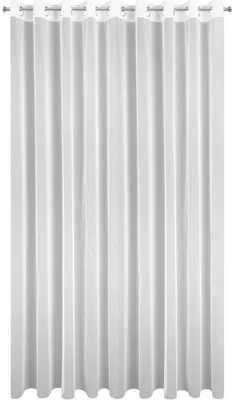 Image de Eurofirany Rideau prêt à poser 400x250 cm blanc