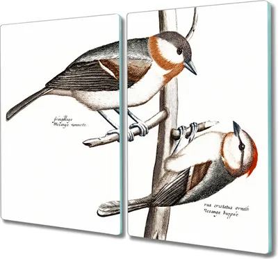 Produktbild von Coloray Schneidebrett Herdabdeckplatte 2x30x52 cm Kochplattenabdeckung Küchenbrett Hackbrett - Tiere Vögel