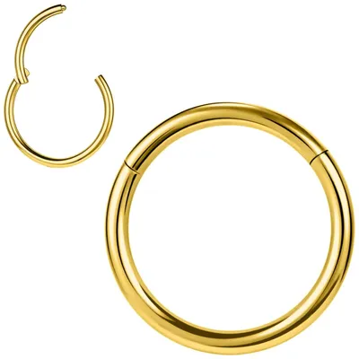 Productafbeelding van Titanium Neusring en Septum Klikring voor Sieraden