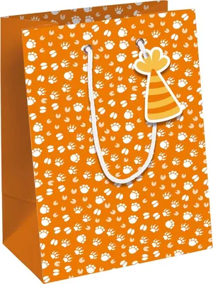 Imagen del producto de Clairefontaine28800-3C Clairefontaine Geschenktüte "Kraft" braun, mittel