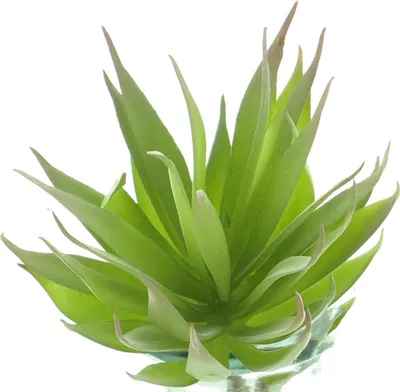 Produktbild von artplants.de Kunst Sukkulente Agave decipiens DEYUNA auf Steckstab, grün, 18cm - Deko Agave