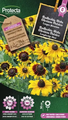 Productafbeelding van Protecta Bloemen zaden: Rudbeckia Hirta Gloriosa Daisies