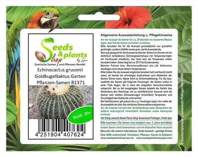 Produktbild von 20x Echinocactus grusonii Goldkugelkaktus Garten Pflanzen-Samen B1371