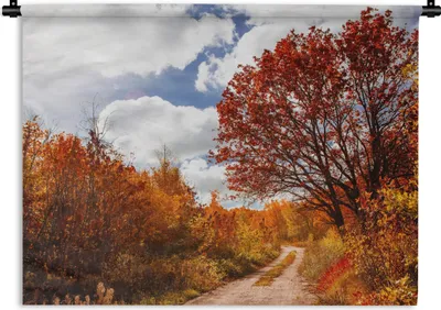 Produktbild von MuchoWow® Wandteppich Wandbehang Baum - Weg - Herbst 60x45 cm Tapisserie Dekoration Wandtuch - Das Schlafzimmer