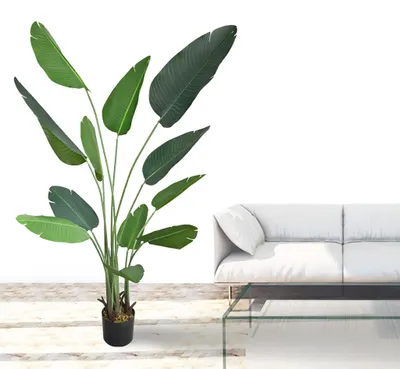 Produktbild von Decovego Künstliche Strelitzie 170 cm, Paradiesvogelblume Kunstpflanze im Topf, Pflegeleichte Zimmerpflanze für Innenräume