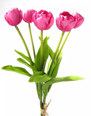 Produktbild von Tulpenbund Real Touch 43cm pink Paeonientulpen künstliche Blumen Tulpen 5St.