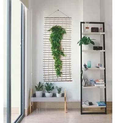 Image de Treillis mural naturel marron 1 x 2 m - support pour plantes grimpantes