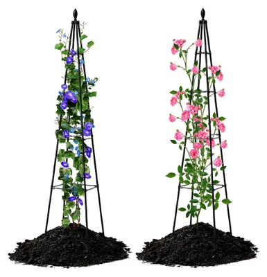 Produktbild von Gartenspalier für Kletterpflanzen, Pflanzenständer für den Außenbereich, freistehende Ranksäule, Schwarz, 2 Stück