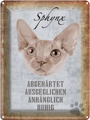 Produktbild von vianmo Blechschild 40x30 cm Sphynx Katze