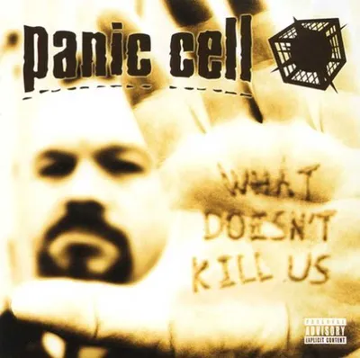 Produktbild von What Doesnt Kill Us D