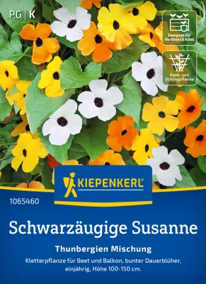 Produktbild von Kiepenkerl Samen Schwarzäugige Susanne Thunbergien 20 Pflanzen