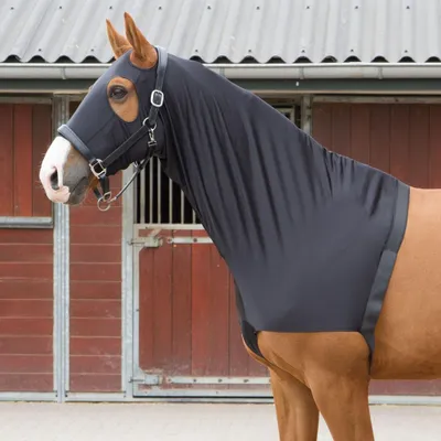 Produktbild von Sleezy Schulterschutz Elastic Schwarz S
