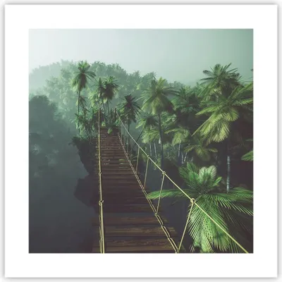 Produktbild von Poster - Poster ohne Rahmen - Dschungel Palme Brücke - 40x40 cm - Wand Bild - Wanddeko - Wandbilder - Kunstposter - Wandposter - Bilder - Kunstdruck - Wanddekoration - Wandbild - P2XAC40x40-3674