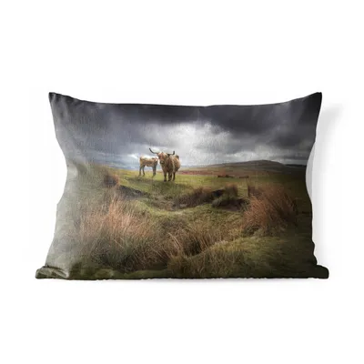Produktbild von MuchoWow® Outdoor Kissen - Schottische Hochlandrind - Schottische Kuh - Landschaft - 60x40 cm - Wetterfest - Lounge Kissen - Zierkissen - Kissen für Innenräume