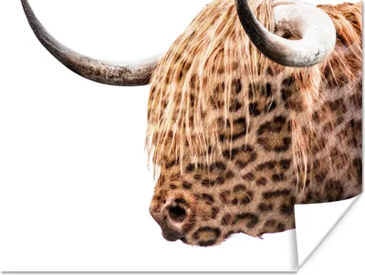 Produktbild von MuchoWow® Poster Schottischer Highlander - Panther - Weiß 120x90 cm - Wandbild