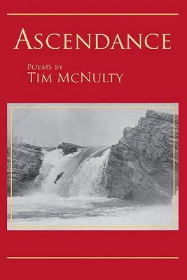 Produktbild von Ascendance