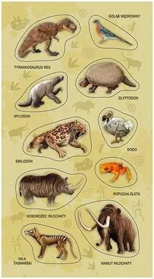 Image de Autocollants « Animaux disparus » - Ranok-Creative