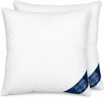 Produktbild von Power of Dreams Federkissen Set 2, 50x50cm, 600g - Kissen aus Federn als Kopfkissen, Schlafkissen u. Bettkissen perfekt für Allergiker und Kinder