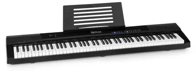 Produktbild von Preludio Keyboard 88 Tasten Anschlagsdynamik Sustain Pedal schwarz