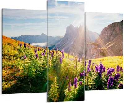 Produktbild von Bild auf Leinwand - Leinwandbild - Berge Wiese Blumen - 130x100cm - Wand Bild - Wanddeko - Leinwanddruck - Bilder - Kunstdruck - Wanddekoration - Leinwand bilder - Wandkunst - CB130x100-4008