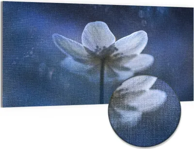 Produktbild von DEQORI Hybrid Leinwand Bild 100x50 cm 'Ätherische Blüte' Wandbild Glas flach modern