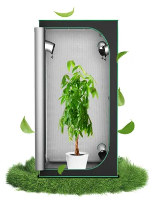 Produktbild von XINZI Growzelt 100 x 100 x 200 cm Gewächshaus, Indoor Growroom Growschrank Darkroom mit Beobachtungsfenster, Pflanzenzelt Gewächshaus Zuchtzelt