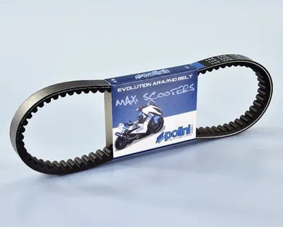 Zdjęcie produktu dla Paski napędowe POLINI