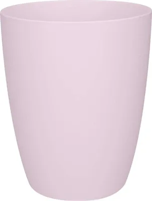 Produktbild von brussels orchidee hoch 12,5cm  zartes rosa
