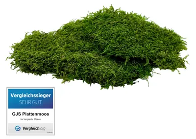 Plattenmoos 100 g – konserviertes Naturmoos für Basteln & Deko