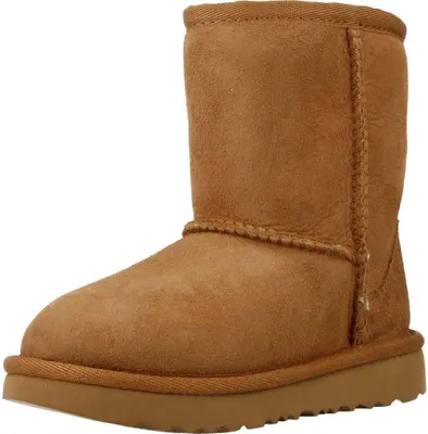 Image de Ugg Classic Ii Couleur Marron