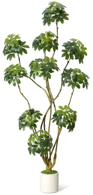 Produktbild von Künstliche Schefflera (210 cm) – Realistische Zimmerpflanze für Zuhause, Büro und Terrasse, pflegeleicht