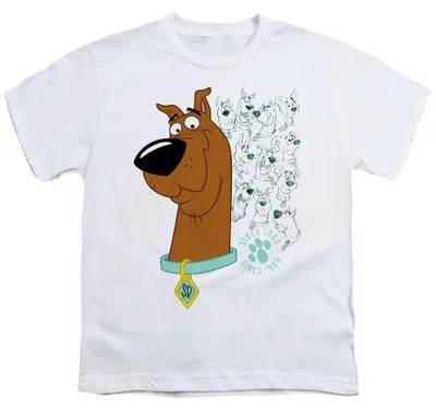 Image de T-shirt pour enfants "Évolution de Scooby-Doo" (TV40836) (taille 116) (blanc)