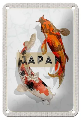 Produktbild von Blechschild Reise 12x18cm Japan Koi Fische Asien Urlaub Kunst Schild