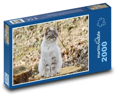 Obrázek produktu pro Puzzle 2000 Kočka v zimní přírodě - martinpuzzle