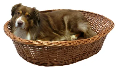 Produktbild von Silvio Design Hunde Ruhekorb mit Kissen Gr. 3 Tierkissen Hundekorb Tierkorb
