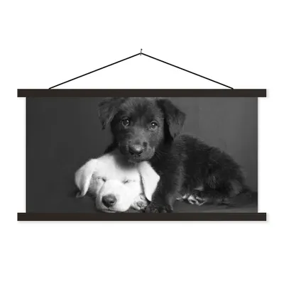 Produktbild von MuchoWow® Textilposter Hunde - Welpe - Schwarz - Weiß - Tiere 150x75 cm mit schwarzem Rahmen - Posterleiste