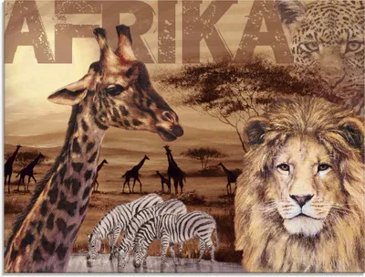Produktbild von ARTland Glasbild Afrika Größe: 80x60 cm