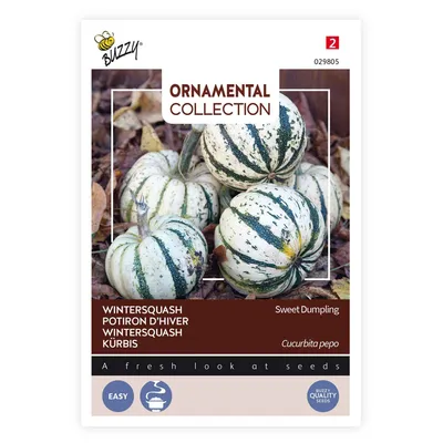 Immagine prodotto di Semi di zucca ornamentale Buzzy - Circa 1 gr | Buzzy_029805