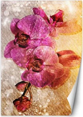 Produktbild von Vlies fototapete Lila Orchideen 200x280 cm Feeby Lila inkl. Kleber einfache Montage