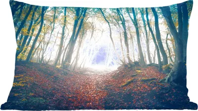 Produktbild von MuchoWow® Zierkissen Sofakissen Wohnzimmer Dekokissen 60x40 cm Wald - Nebel - Sonne - Herbst - Kopfkissen - Polster mit Foto