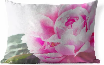 Produktbild von MuchoWow® Outdoor Kissen - Nahaufnahme einer rosa Pfingstrose mit Blättern - 60x40 cm - Wetterfest - Lounge Kissen - Zierkissen - Kissen für Innenräume