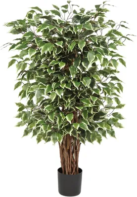 Produktbild von Künstliche Pflanzen Groß Kunstpflanze Benjamini Ficus künstlich Kunstbaum, Grün