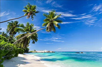 Produktbild von Muralo Fototapete Strand 180 (B) x 120 (H) cm Vlies Tapete Wandtapete Ozean Himmel Palmen Wohnzimmer Schlafzimmer moderne Wandbilder XXL Natur Panorama Wasser Wand Dekoration