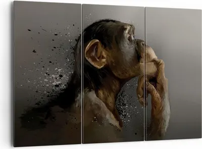 Produktbild von Bild auf Leinwand - Leinwandbild - 3 Teile - Schimpanse Porträt Grafik - 165x110cm - Wand Bild - Wanddeko - Wandbilder - Leinwanddruck - Bilder - Wanddekoration - Leinwand bilder - CE165x110-4676