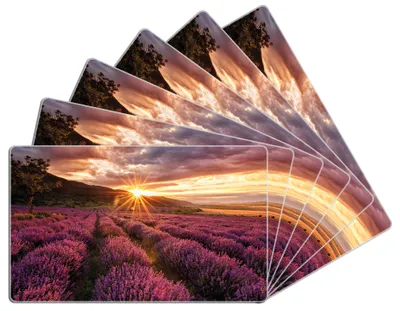 Produktbild von Wallario Frühstücksbrettchen 6er Set aus Glas, je 14 x 23 cm, mit rutschfesten Füßen, Motiv Lavendelfeld bei Sonnenuntergang - Sonnenstrahlen
