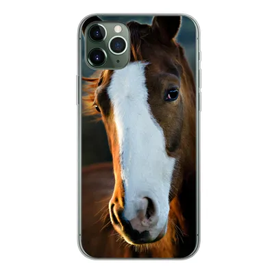 Produktbild von MuchoWow® Handyhülle Schutzhülle Hülle für iPhone 11 Pro Max Pferd - Kopf - Licht Silikon Softcase Handy Hülle - Schutz